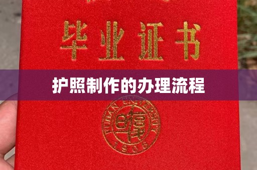 琅琊护照制作的办理流程