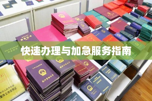 琅琊快速办理与加急服务指南