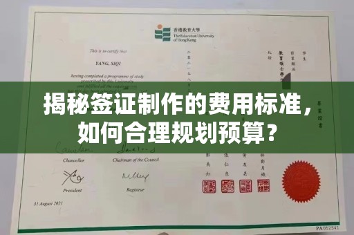 琅琊揭秘签证制作的费用标准，如何合理规划预算？