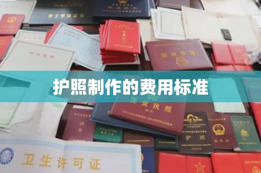 琅琊护照制作的费用标准