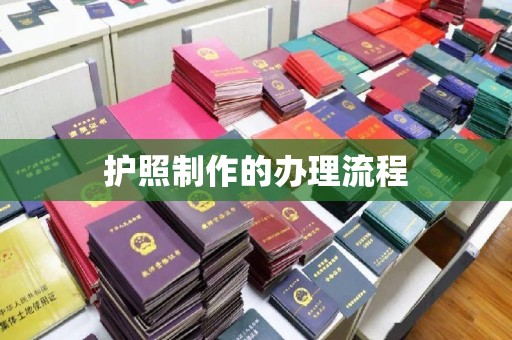 琅琊护照制作的办理流程
