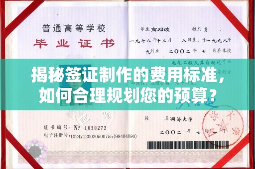 琅琊揭秘签证制作的费用标准，如何合理规划您的预算？