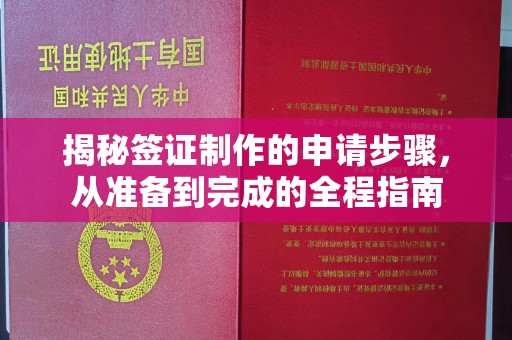 琅琊揭秘签证制作的申请步骤，从准备到完成的全程指南