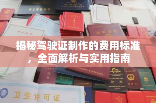 琅琊揭秘驾驶证制作的费用标准，全面解析与实用指南
