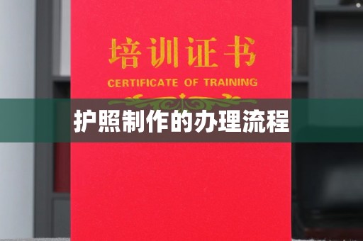 琅琊护照制作的办理流程